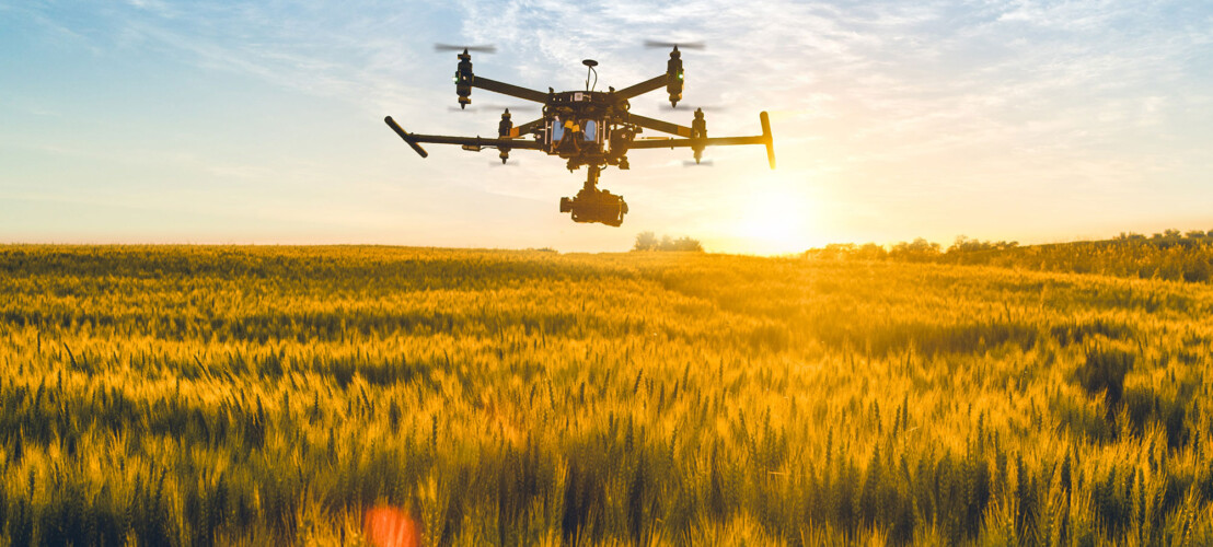 Een drone vliegt over een tarweveld bij zonsondergang.
